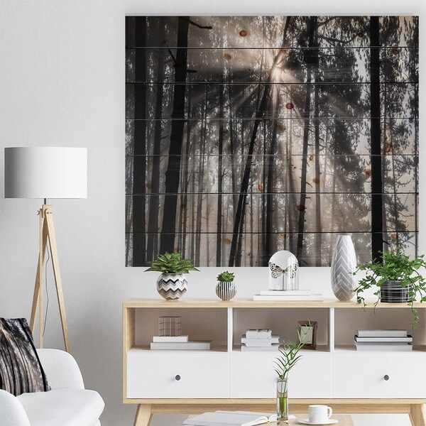 Designart 'Sunbeams through Black White Forest' Forest Print on Natural Pine Wood