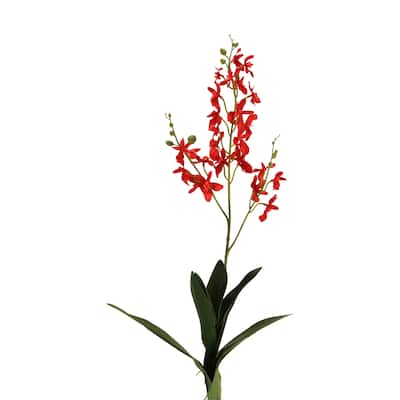 30.5-inch Red Dendrobium Orchid