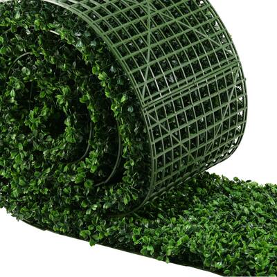 21-inch x 72-inch Boxwood Roll - Green