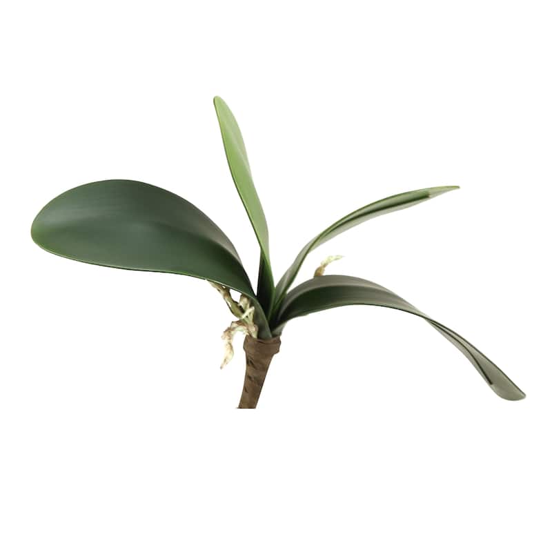 Set of 3 8.25-inch Orchid Foliage Stems - Green