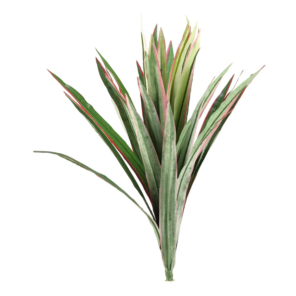21-inch Dracaena / Yucca plant - Green