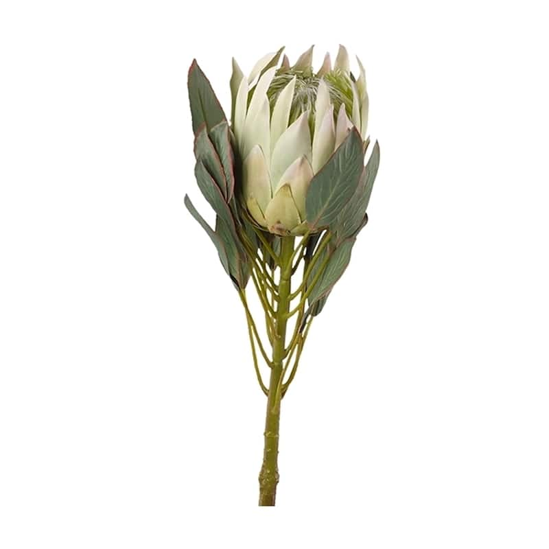 White Large Protea Flower Stem (Set of 3) - Bed Bath & Beyond - 23118972