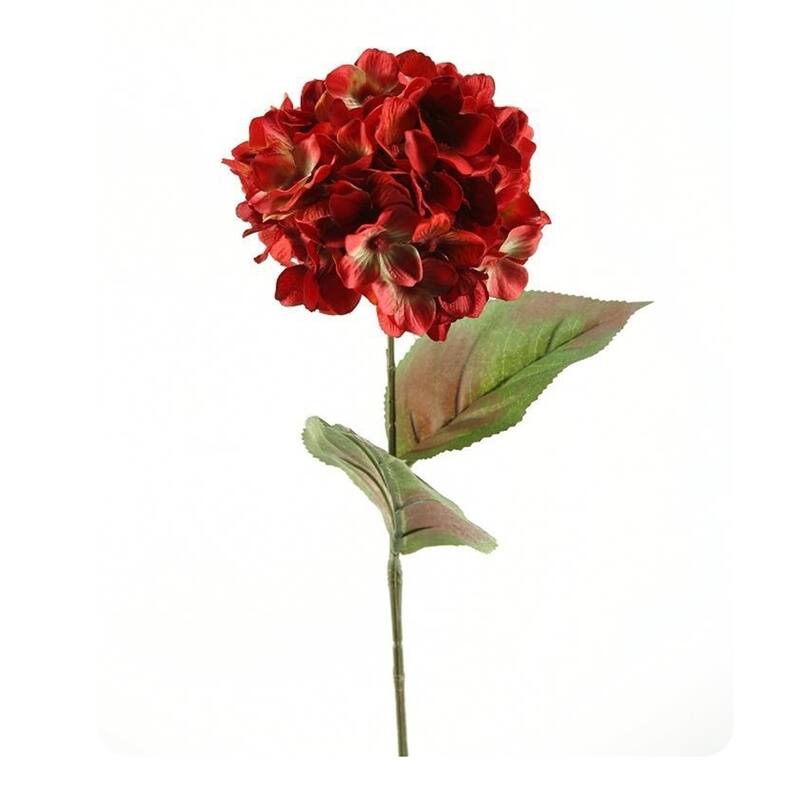 Two Tone Red Hydrangea Stem