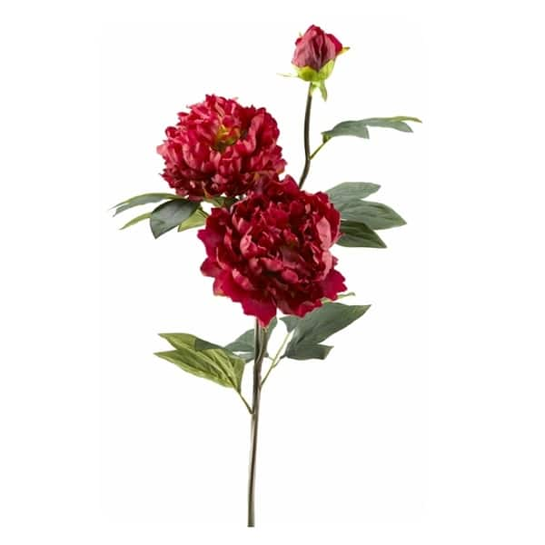 Dark Pink Peony Stem - Bed Bath & Beyond - 23118981