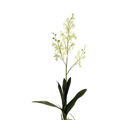 30.5-inch White Dendrobium Orchid Stem