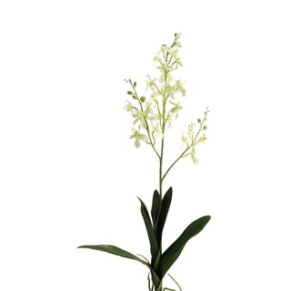 30.5-inch White Dendrobium Orchid Stem - Bed Bath & Beyond - 23119001