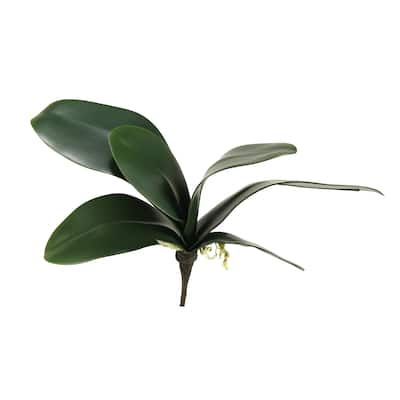 10.75-inch Orchid Foliage - Green