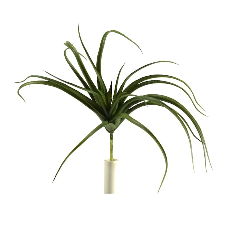 13-inch Tillandsia Spray (Set of 3) - Bed Bath & Beyond - 23119041