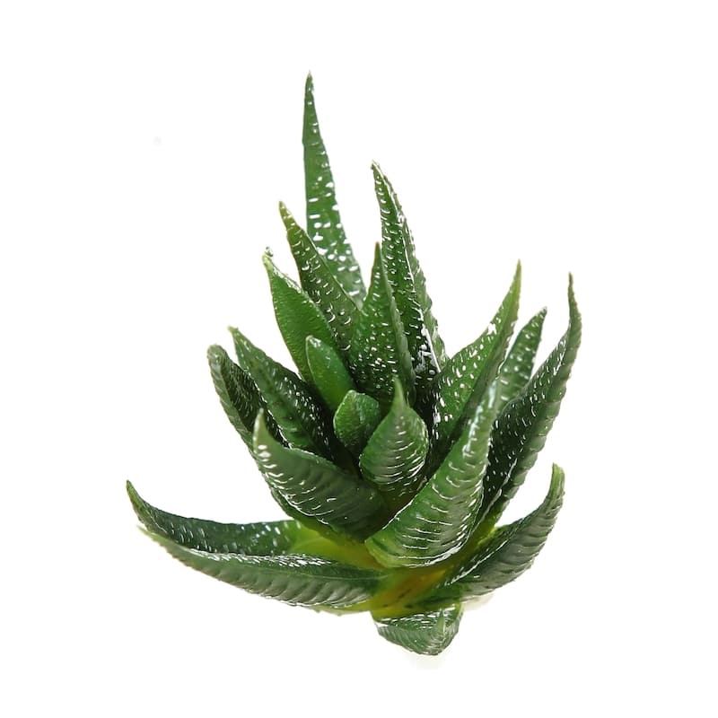 Set of 3 Green Succulents