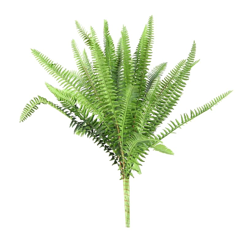 18-inch Green Boston Fern