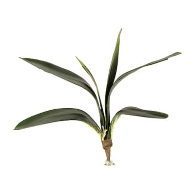 12-inch Orchid Foliage