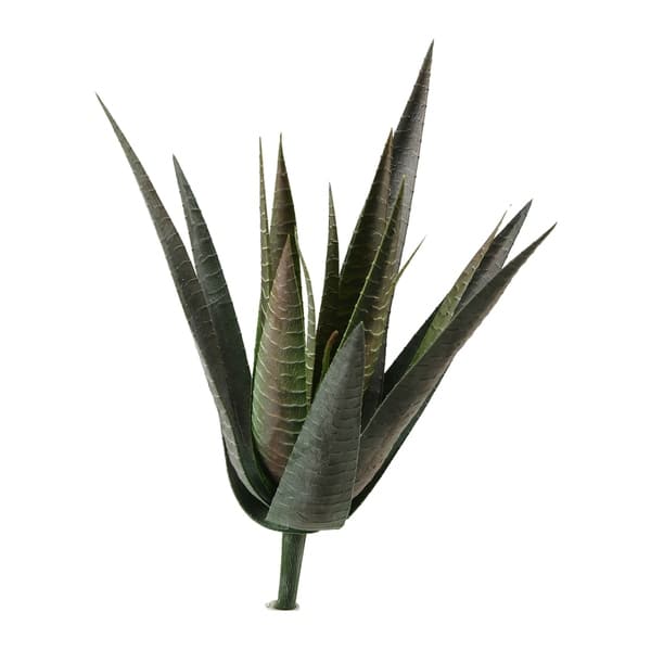 14-inch Agave Plant - Bed Bath & Beyond - 23119112