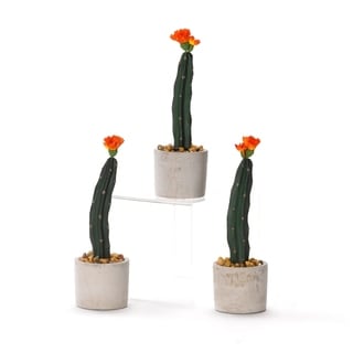 D&w Silks Mini Column Cactus In Small Round Cement Planter (set Of 3 