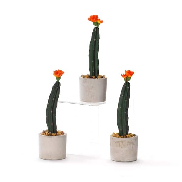 D&W Silks Mini Column Cactus in Small Round Cement Planter (Set of 3 ...