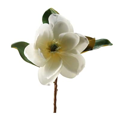 Cream Magnolia