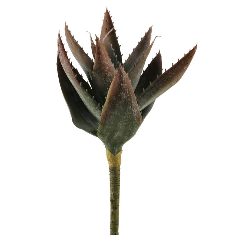 16.5-inch Red Aloe (Set of 3)