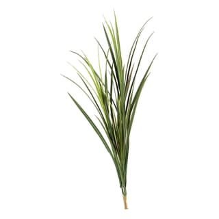 36-inch Long Grass - Bed Bath & Beyond - 23119153