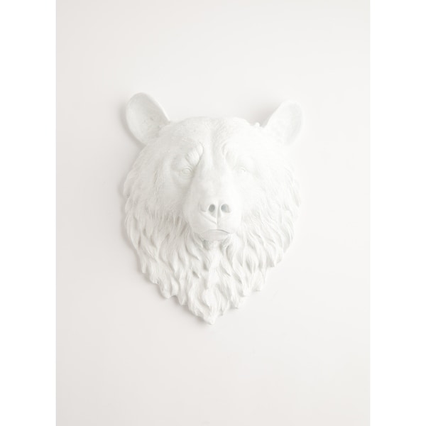 stuffed bear wall mount