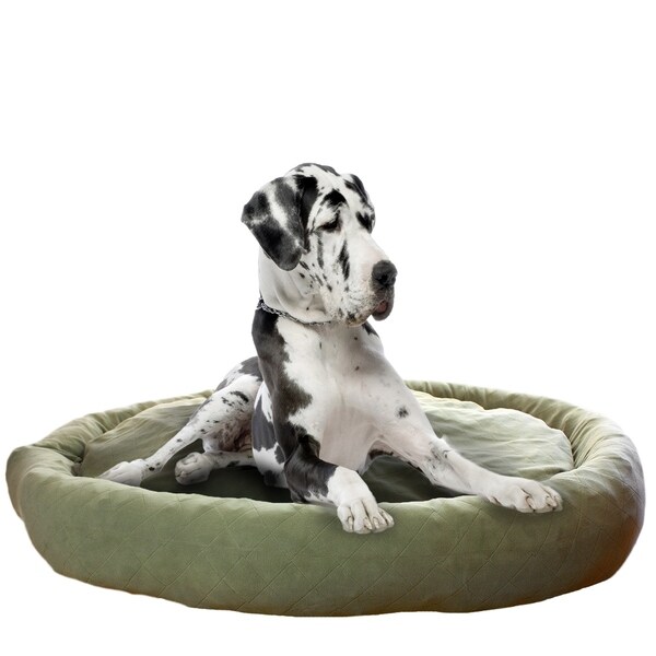 sage green dog bed