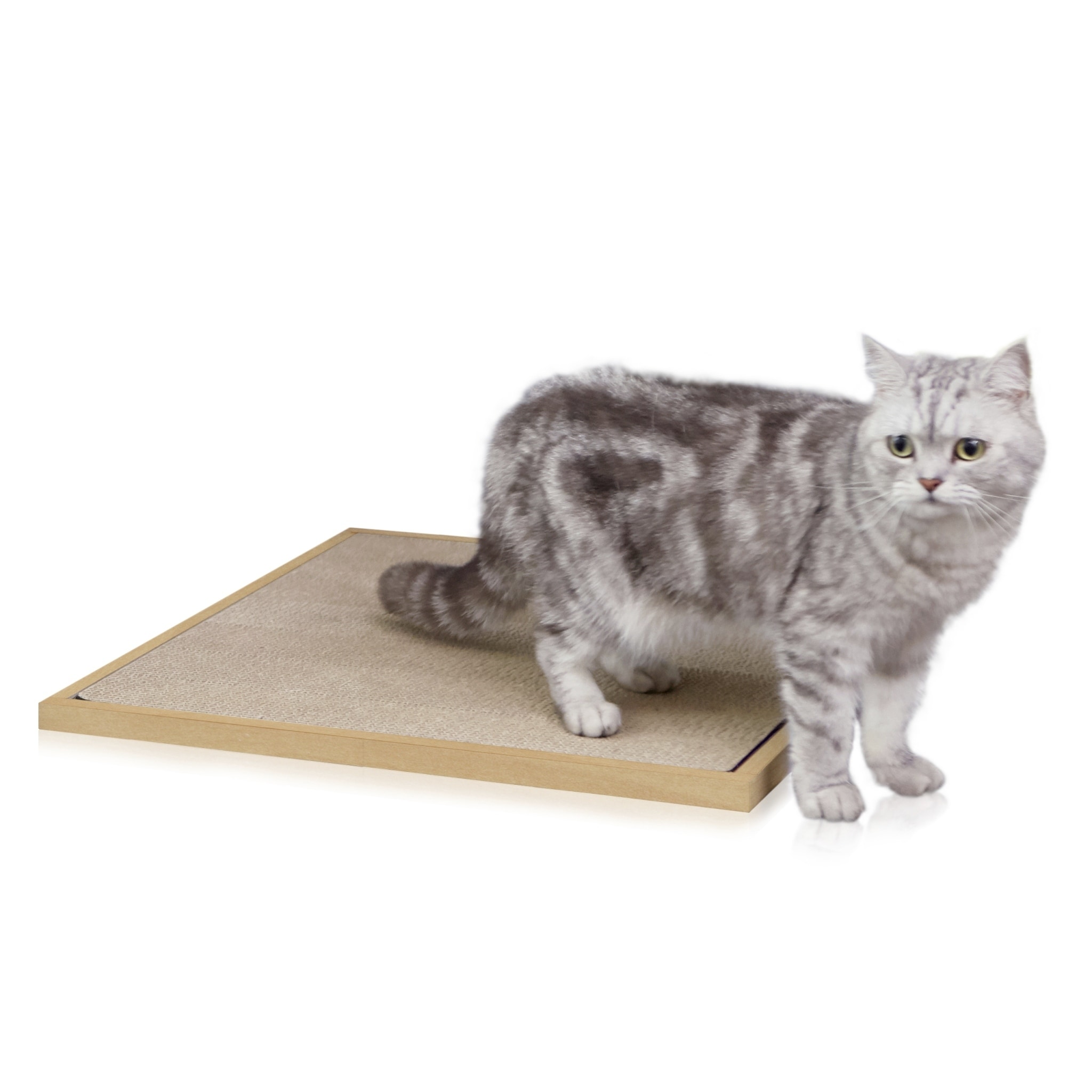 Way Basics Eco Friendly Cat Litter Box Mat, Natural LIFETIME GUARANTEE