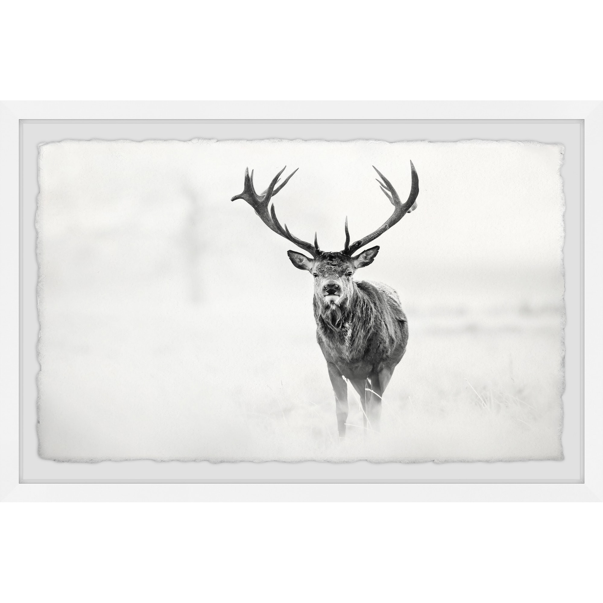 framed elk prints