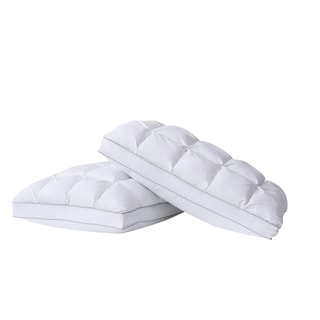 https://ak1.ostkcdn.com/images/products/23136312/Charisma-Luxe-Down-Alternative-Gel-Filled-Chamber-2-Pack-Pillow-White-b1f71973-7aa0-4ade-b6e0-1777be8f30cc_320.jpg