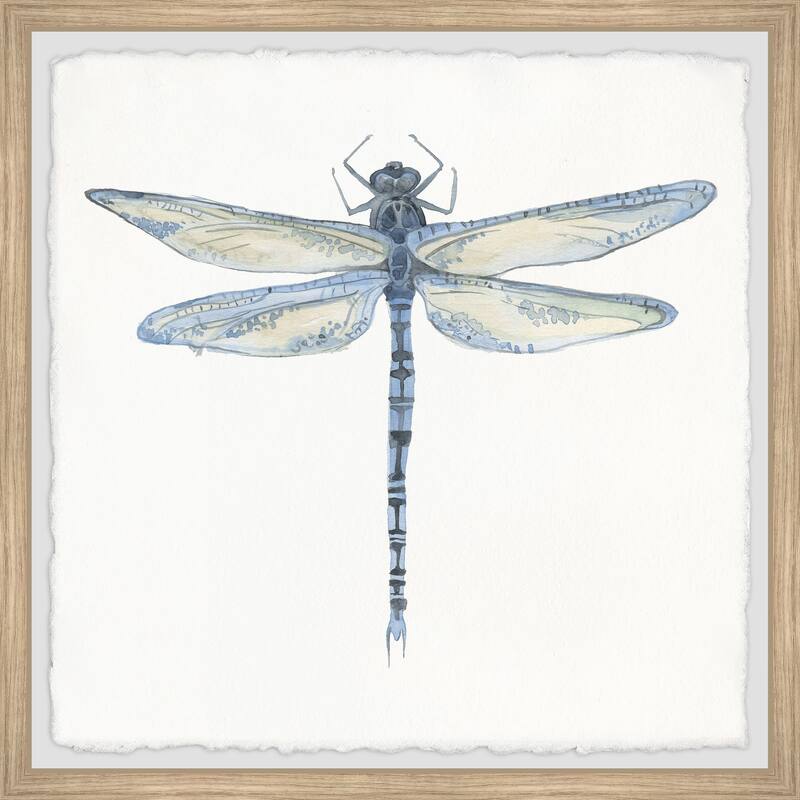 'Wild Dragonfly' Framed Painting Print - Multi-Color