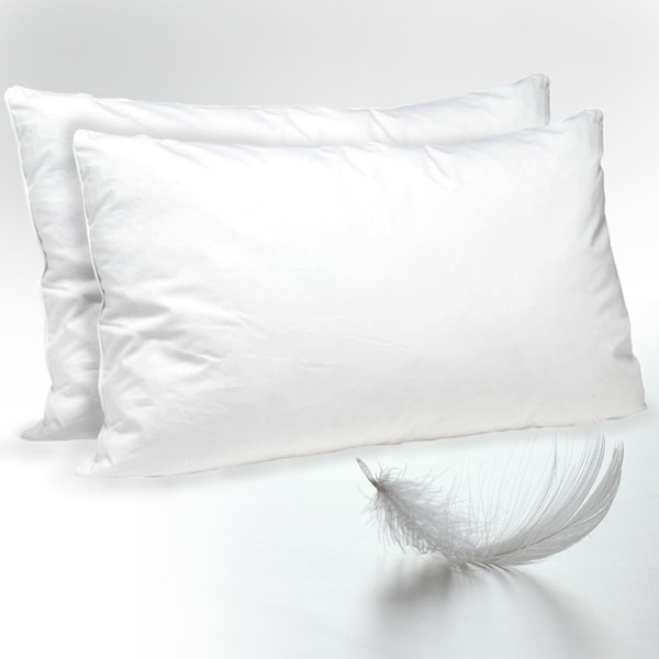 Twin Pack Feather \u0026 Down Pillow 