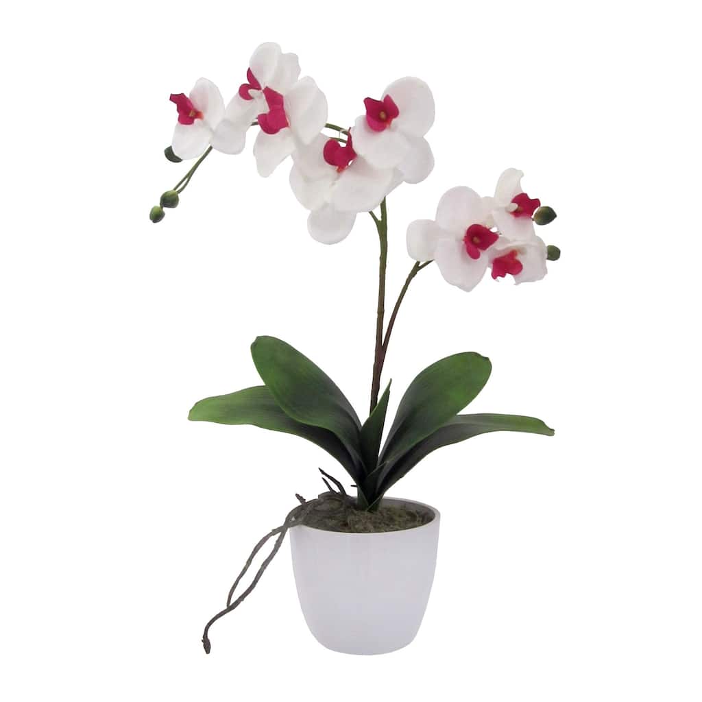 Artificial Flower, Orchid Phalaenopsis Including White Ceramic Vase - 22