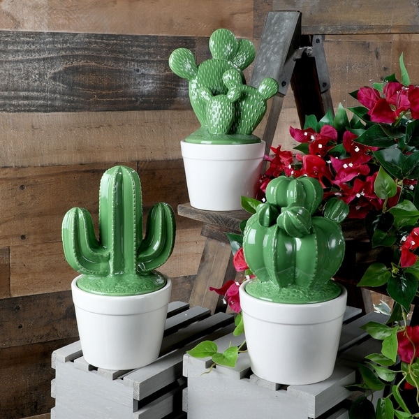 Dolomite Potted Cactus Jar 10" 3as"
