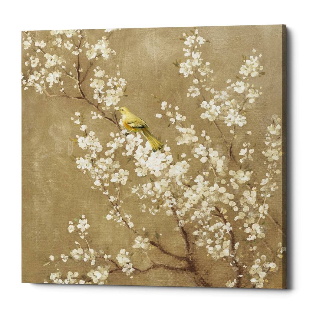 Epic Graffiti "White Cherry Blossom II Neutral" by Danhui Nai, Giclee Canvas Wall Art - 37" x 37"