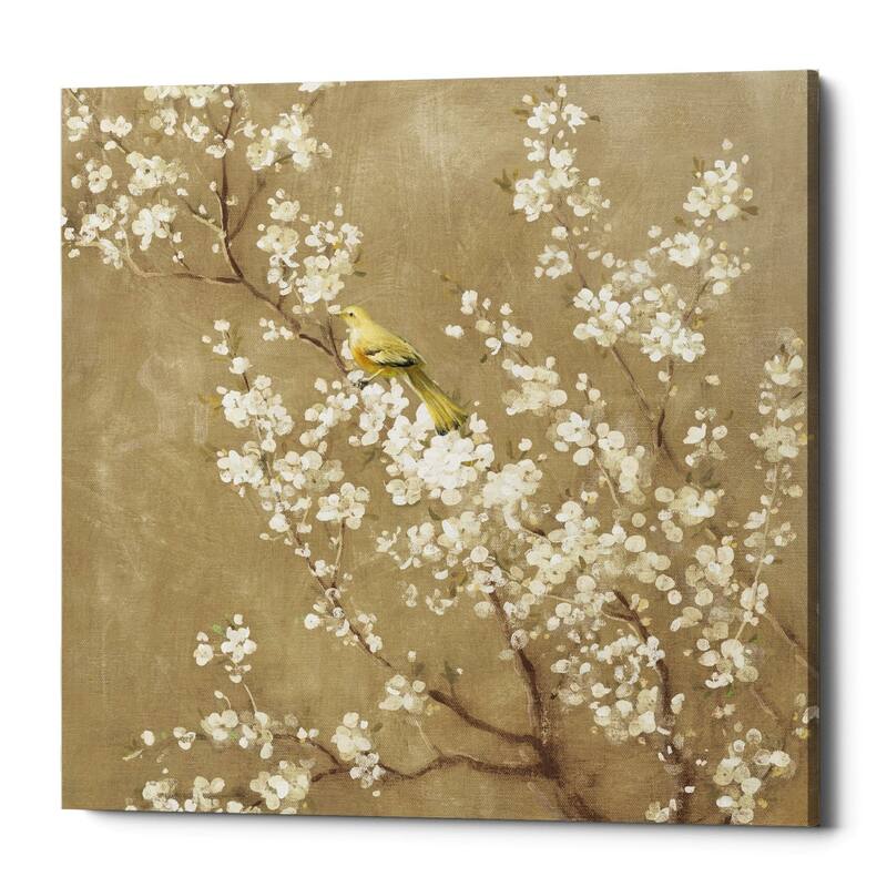 Epic Graffiti "White Cherry Blossom II Neutral" by Danhui Nai, Giclee Canvas Wall Art - 37" x 37"