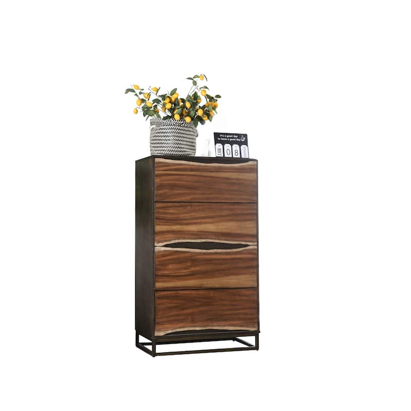 Bourdain Rustic Dark Walnut 4-Drawer Chest by Carbon Loft