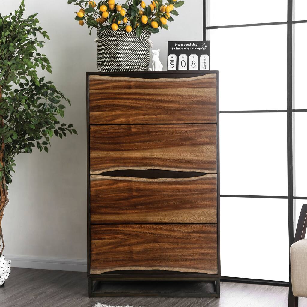 Bourdain Rustic Dark Walnut 4-Drawer Chest by Carbon Loft