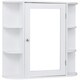 Bathroom Furni Vanity Storage Organizer Mounted Wall Cabinet with Door - Thumbnail 3