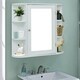 Bathroom Furni Vanity Storage Organizer Mounted Wall Cabinet with Door - Thumbnail 0