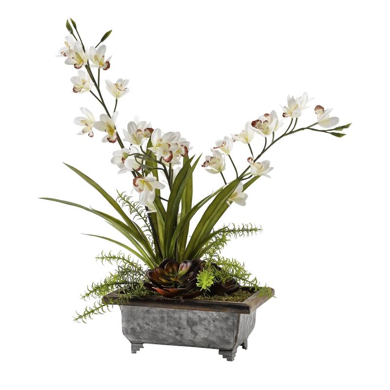 Cream Cymbidium Orchids with Red Echeveria in Rectangle Metal Planter - Cream/Chocolate