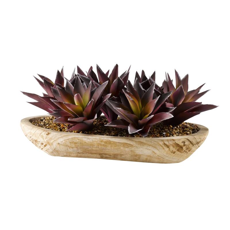 Purple/ Green Aloe Plants in Oval Wooden Bowl - Purple, Green
