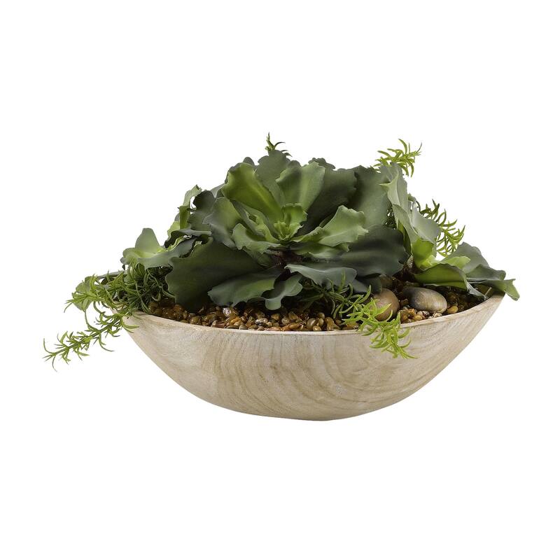 Large Ruffled Echeveria in Wooden Bowl - Green