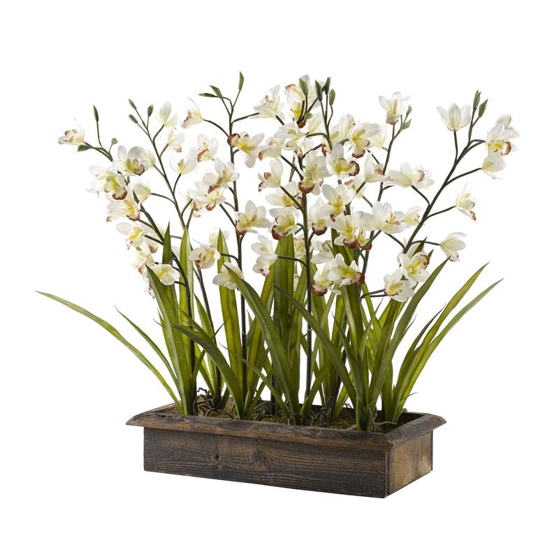 Cream Cymbidium Orchids in Rectangle Metal Planter