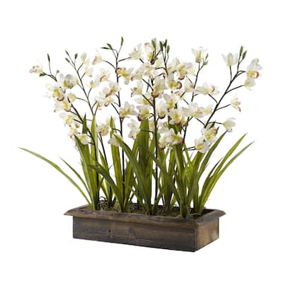Cream Cymbidium Orchids in Rectangle Metal Planter