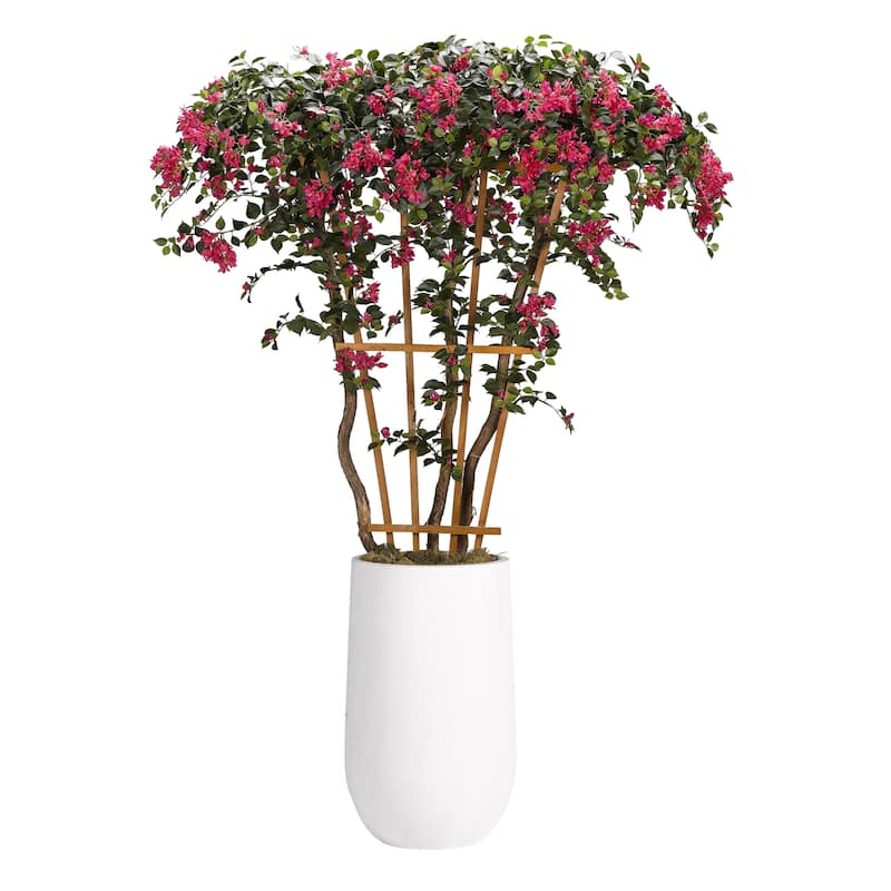 8-feet Bougainvillea Tree with Trellis in Tall Round Clay Planter - Green, Pink