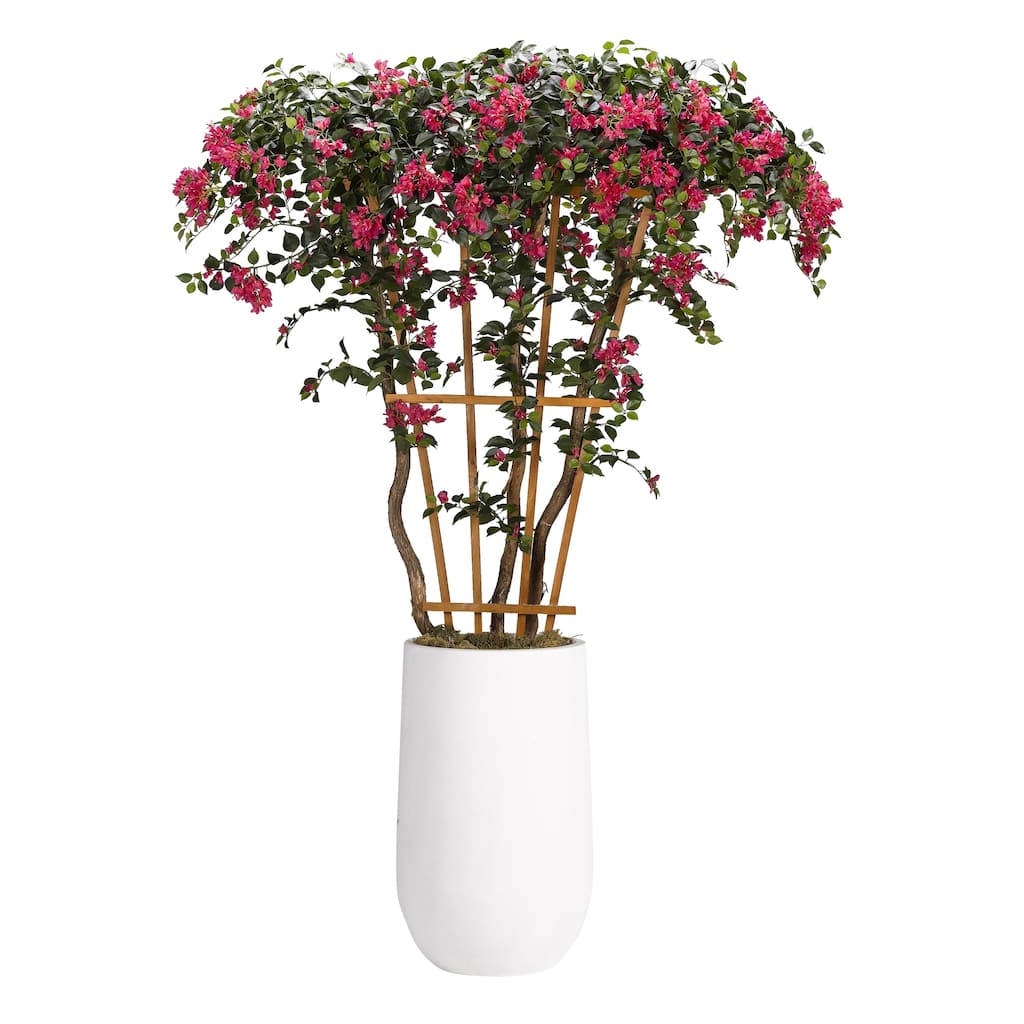 8-feet Bougainvillea Tree with Trellis in Tall Round Clay Planter - Green, Pink