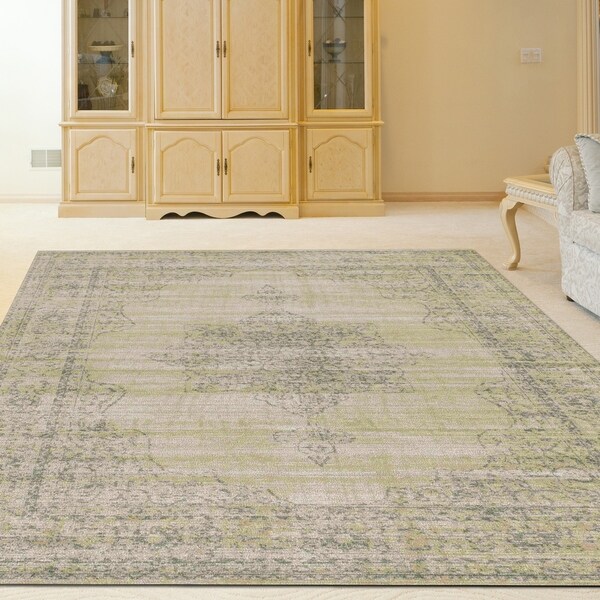 Corina Medallion Area Rug - 3'3" x 4'11"