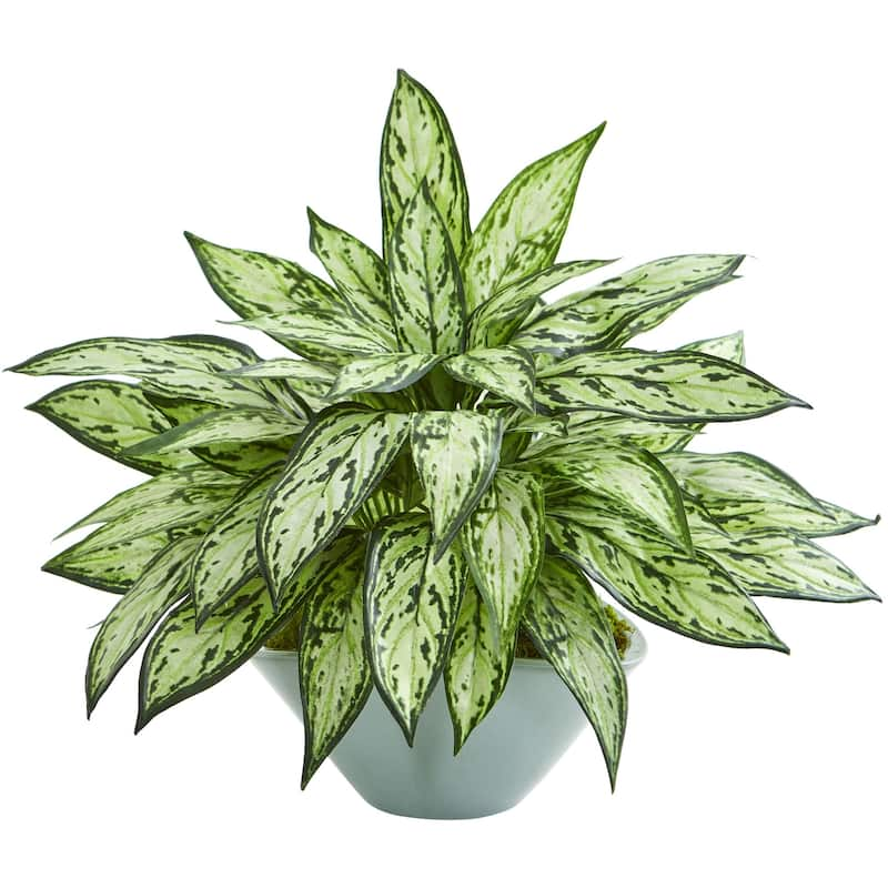 Silver Queen Artificial Plant in Green Vase