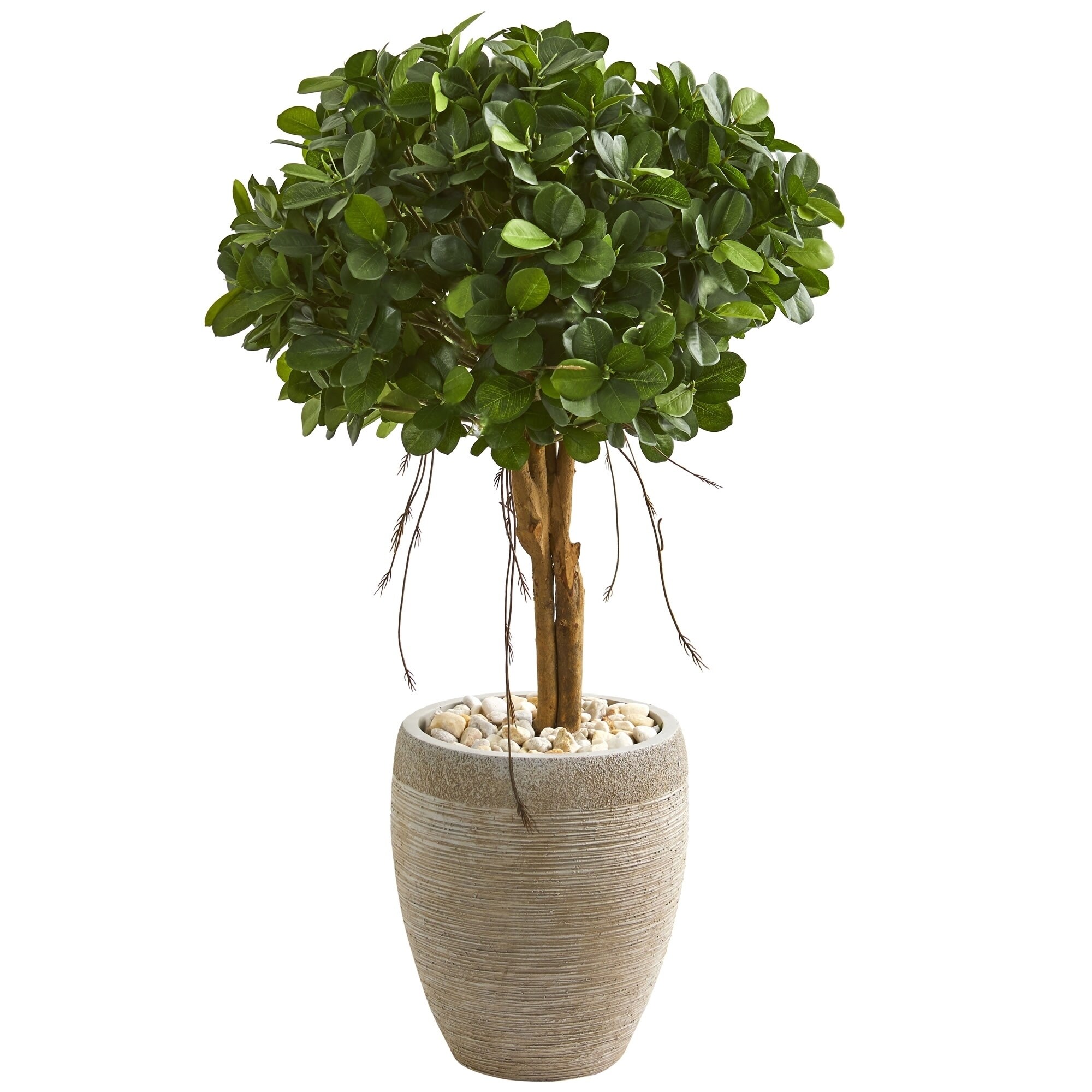 artificial ficus tree