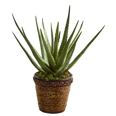 Aloe Artificial Plant in Basket