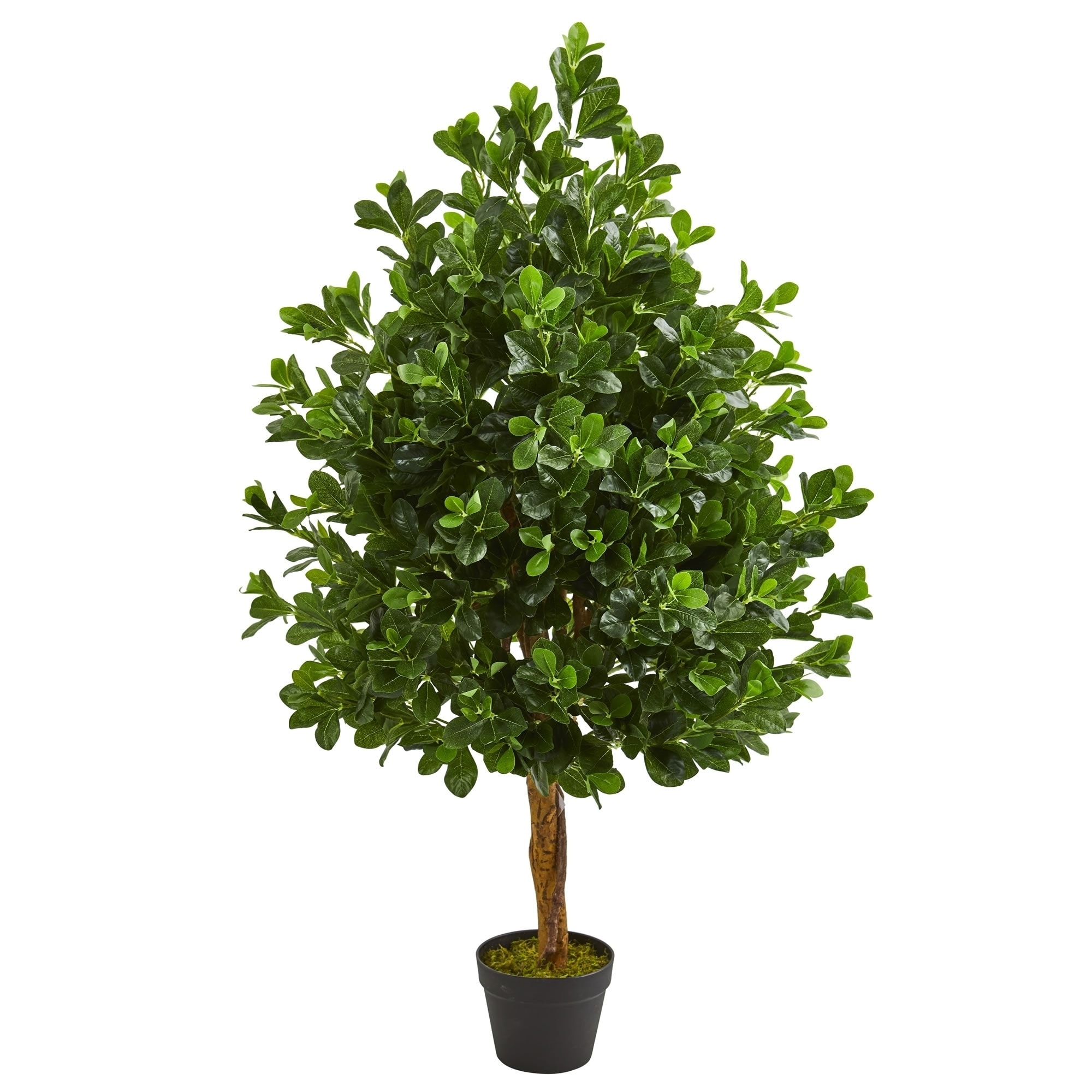 artificial evergreen