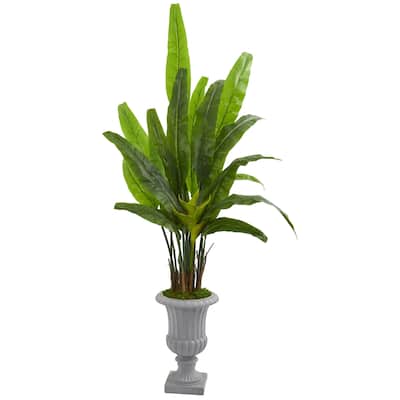 5.5' Travelers Palm Artificial Tree in Gray Urn