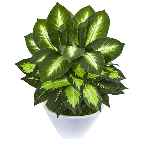 21" Golden Dieffenbachia Artificial Plant in White Planter